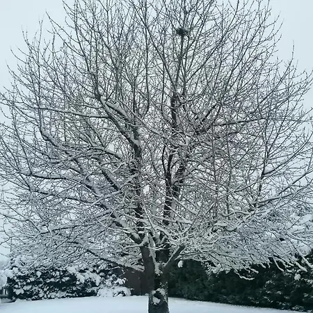 Le Cerisier Couette-café