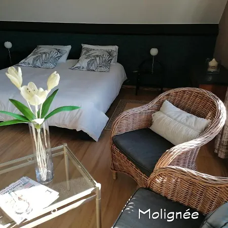 Couette-café Le Cerisier Bioul