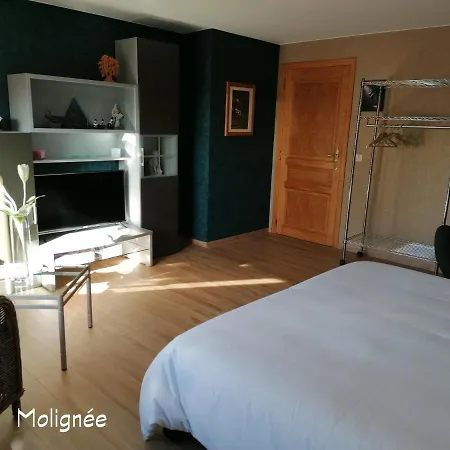 住宿加早餐酒店 Le Cerisier Bioul