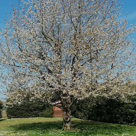 Le Cerisier 住宿加早餐酒店 *