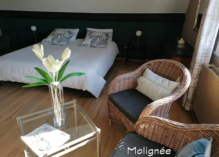 Bed & Breakfast Le Cerisier Bioul